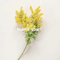 ♡ inoさま ♡ご専用ページ