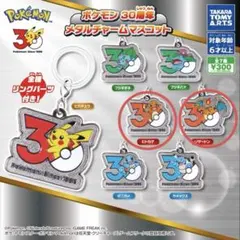 ポケモン 30周年記念メタルチャーム　2点セット