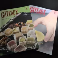 雑誌 GATEAUX 2025年2月号・3月号 2冊セット