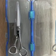 2026年最新】光 ネオコスモスの人気アイテム - メルカリ