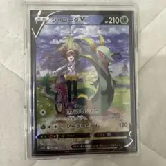 ジャローダV CSR 状態S