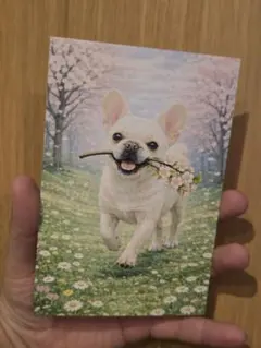 Item thumbnail for item dec92834-6258-4338-a8dd-ccab6bedcec7