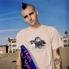 dinosaur jr. ダイナソーjr Tシャツ XXL