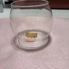 Coleman Globe No. 550 USA 値下げしました！のサムネイル
