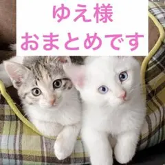 ゆえ様 リクエスト 2点 まとめ商品