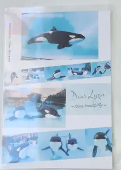 2025年最新】名古屋港水族館 りんの人気アイテム - メルカリ