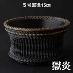 牙城〜鳳凰〜 5号直径15㎝ メッシュ入り3dプリンター鉢 作家鉢 アガベ