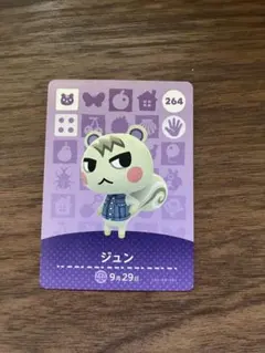 【おまけ付き⭐︎お値下げ交渉◯】amiiboカード⭐︎ジュン⭐︎