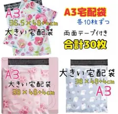 Item thumbnail for item 152fea3d-4ff8-4551-ae8b-5558dbbb9e2c