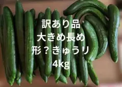 訳あり品　大きめ長め、形？きゅうり4kg 　リサイクル箱入れ