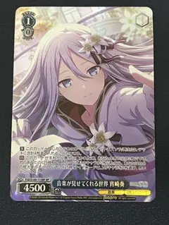 2026年最新】プロセカ ヴァイスシュヴァルツ 奏の人気アイテム - メルカリ