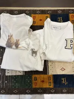 パパス　Tシャツ3枚セット　エルサイズ