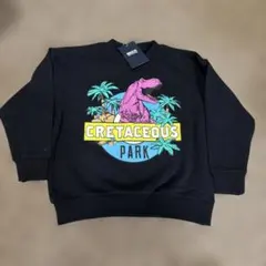 新品◎ ブリーズ　裏毛トレーナー　ブラック　恐竜　120cm