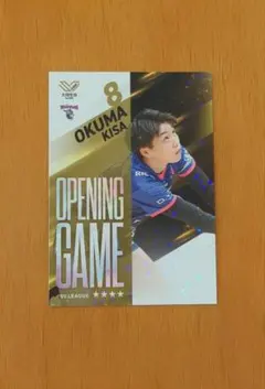 PFUブルーキャッツ　カード　大熊紀妙　Vコレ　ＳVリーグ