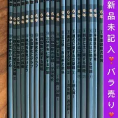 サピックス生にも　グノーブル　G脳ワークアウト　6年算数　バラ売