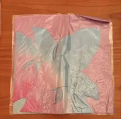 Item thumbnail for item bce9d26a-d4b3-416a-99a7-c524d07bfa9e