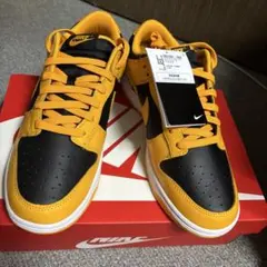 NIKE DUNK LOW RETRO CHAMPIONSHIPGOLDROD