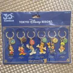 ミッキーマウス　キーチェーン　東京ディズニーリゾート　30周年記念