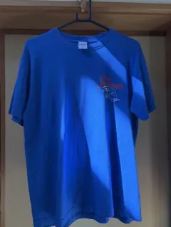FOMARE from Gunma Tシャツ ブルー Mサイズ