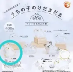 うちの子のけだまだま カプセルトイ 柴犬