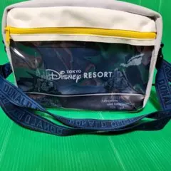 東京ディズニーリゾート バッグ ドナルドダック