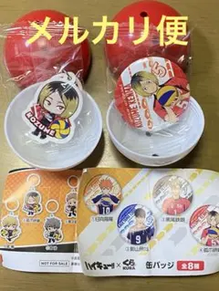 狐爪研磨 缶バッジとめじるしチャーム　2個セット