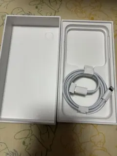 iPhone SE (第3世代) 256GB ブラック 空箱+ ケーブル