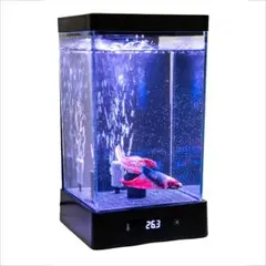 2025年最新】アクリル水槽の人気アイテム - メルカリ