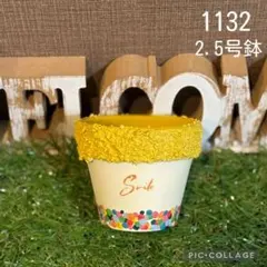 リメ鉢<1146 4号浅鉢 乙女心 多肉植物 寄せ植え シンプル 底穴大きめ