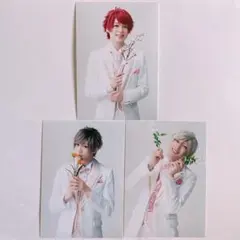 エーライ エーライ ブロマイド 円盤特典 アニメイト特典 咲也 綴 シトロン