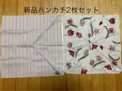 Item thumbnail for item be6a4b6c-30d9-428e-8b20-a89e1518085b