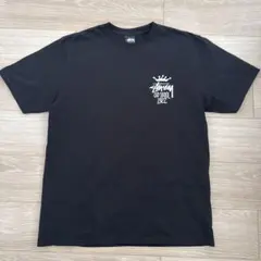 美品　STUSSY ステューシー OLD SKOOL22Ｔシャツ サイズM