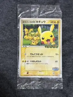 2026年最新】ポケパーク プロモの人気アイテム - メルカリ