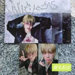 &TEAM Buck to Life フォトシート・トレカ NICOLAS