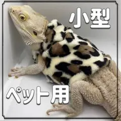 トカゲ服 フリース ヒョウ柄 レオパード柄 秋冬 小型ペットのサムネイル