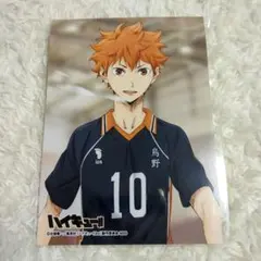 ハイキュー!!　烏野高校　日向翔陽 ピクチャーズコレクション2019