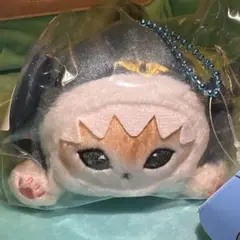 モフサンド1番クジ