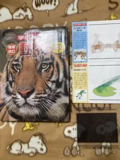 増補改訂版動物 ニューワイド学研の図鑑 動物 学研の図鑑 どうぶつ