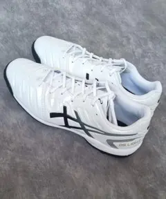 Item thumbnail for item 7cd2c576-6bd5-4df9-97d0-039974085aae