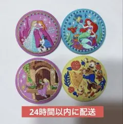 【セール中】ディズニーキャラクターズ 刺繍缶バッチ 第2弾 プリンセス4点セット