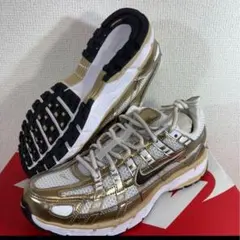 23.5cmNIKE W P-6000 GLD IF1787-100