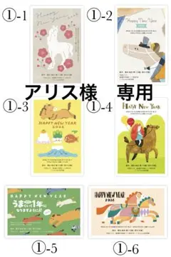 アリス様　専用