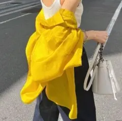 PAGEBOY シアーBIG半袖シャツ イエロー