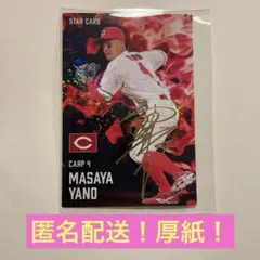 矢野雅哉 スターカード 2025プロ野球チップス 広島東洋カープ キラ　おまけ有