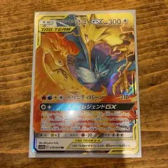 スカイレジェンド