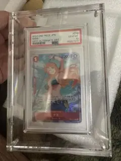 PSA対応アクリルケース