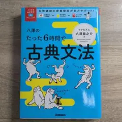 八澤のたった6時間で古典文法