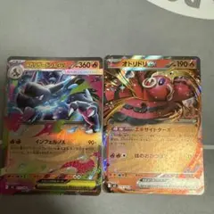 メガリザードンx オドリドリ セット
