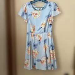 Item thumbnail for item 2af59394-4f6e-45f8-865b-1c244578094c