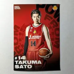 佐藤 卓磨 #14 名古屋ダイヤモンドドルフィンズ ブロマイド L判 片面